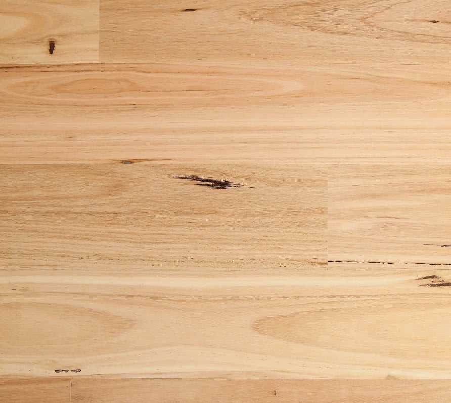 Blackbutt / Brushed 14/3mm Engineered Flooring (ETW1)