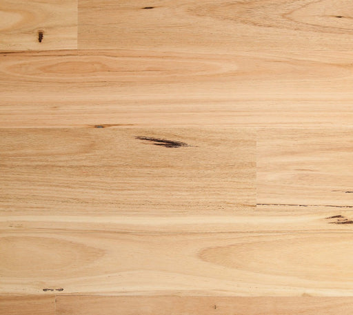 Blackbutt / Matte Brushed Engineered Flooring (ETW-CA01) - National Floors