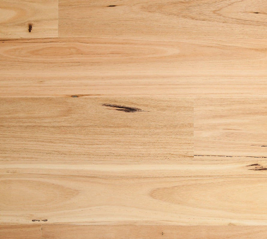 Blackbutt / Satin 14/3mm Engineered Flooring (ETW2)