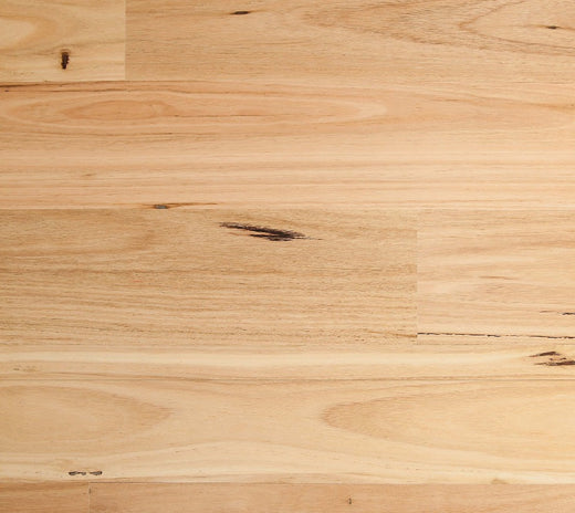 Blackbutt / Satin 14/3mm Engineered Flooring (ETW2)