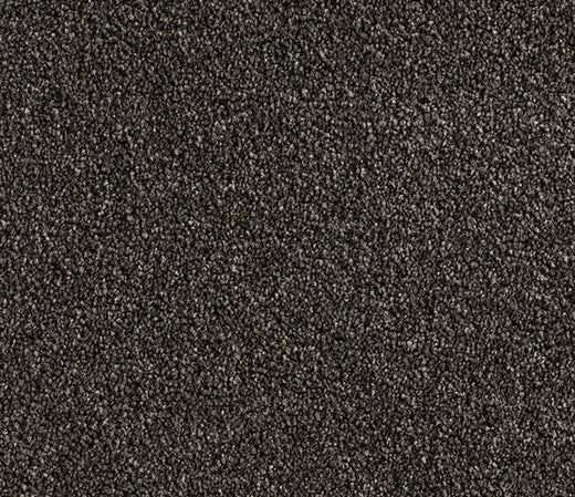 Earthen Luxe Twist Pile Carpet (CQM3)