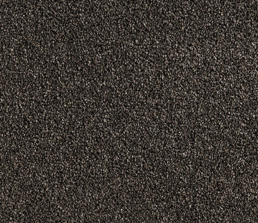 Earthen Luxe Twist Pile Carpet (CQM3) - National Floors