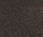 Earthen Luxe Twist Pile Carpet (CQM3) - National Floors