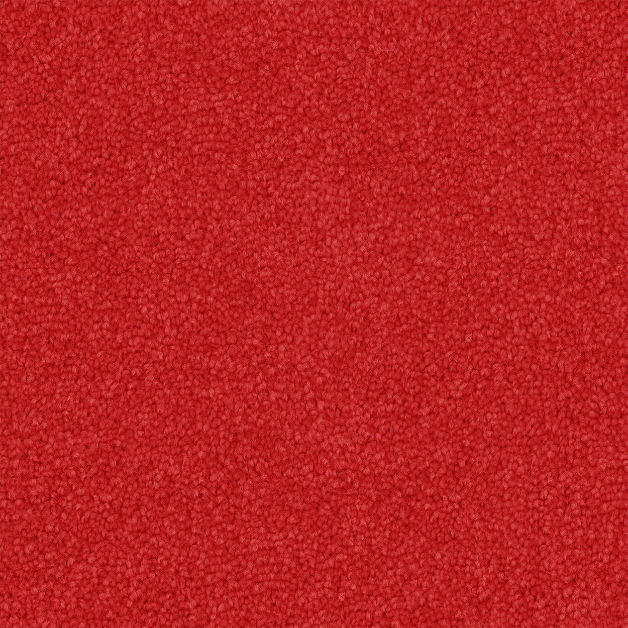 Emberflare Cut Pile Twist Carpet (CGS4)
