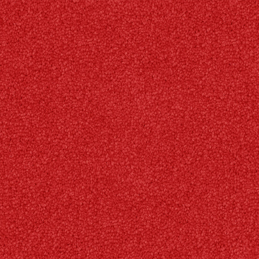 Emberflare Cut Pile Twist Carpet (CGS4) - National Floors
