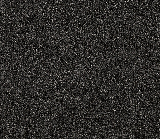 Graneth Twist Pile Carpet (CQM4) - National Floors