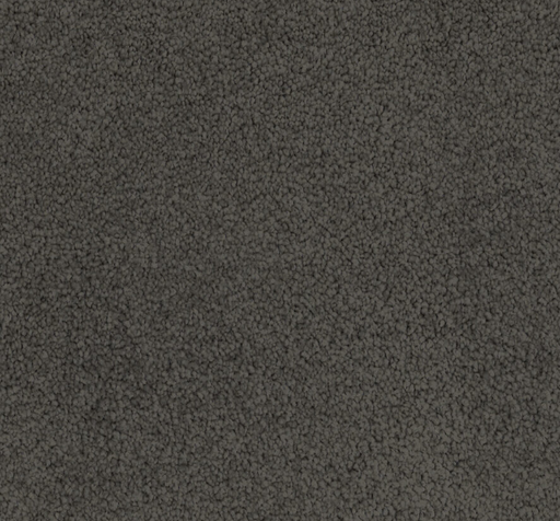 Satin Fog Cut Pile Twist Carpet (CGL3) - National Floors