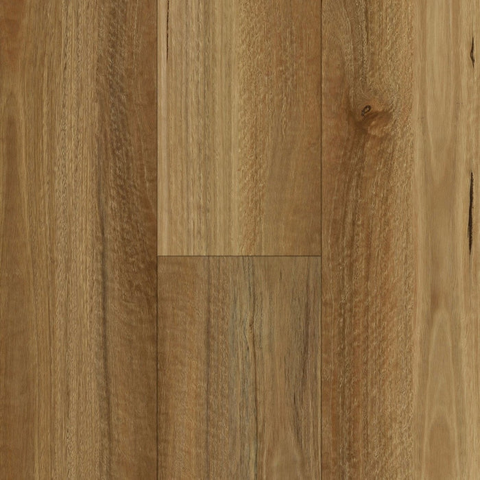 NSW Spotted Gum 7mm Hybrid Flooring (HAAK10) - National Floors