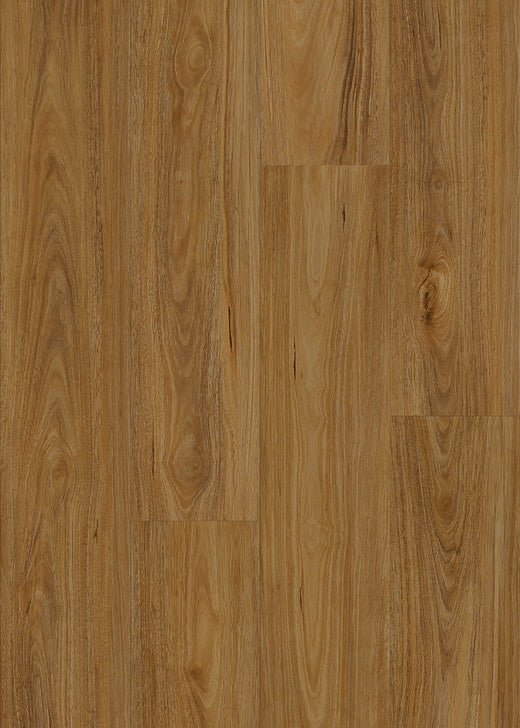 Coastal Spotted Gum 7mm Hybrid Flooring (HC6)