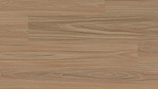 Hylia Blackbutt 7.5mm Hybrid Flooring (HCC-E003) - National Floors