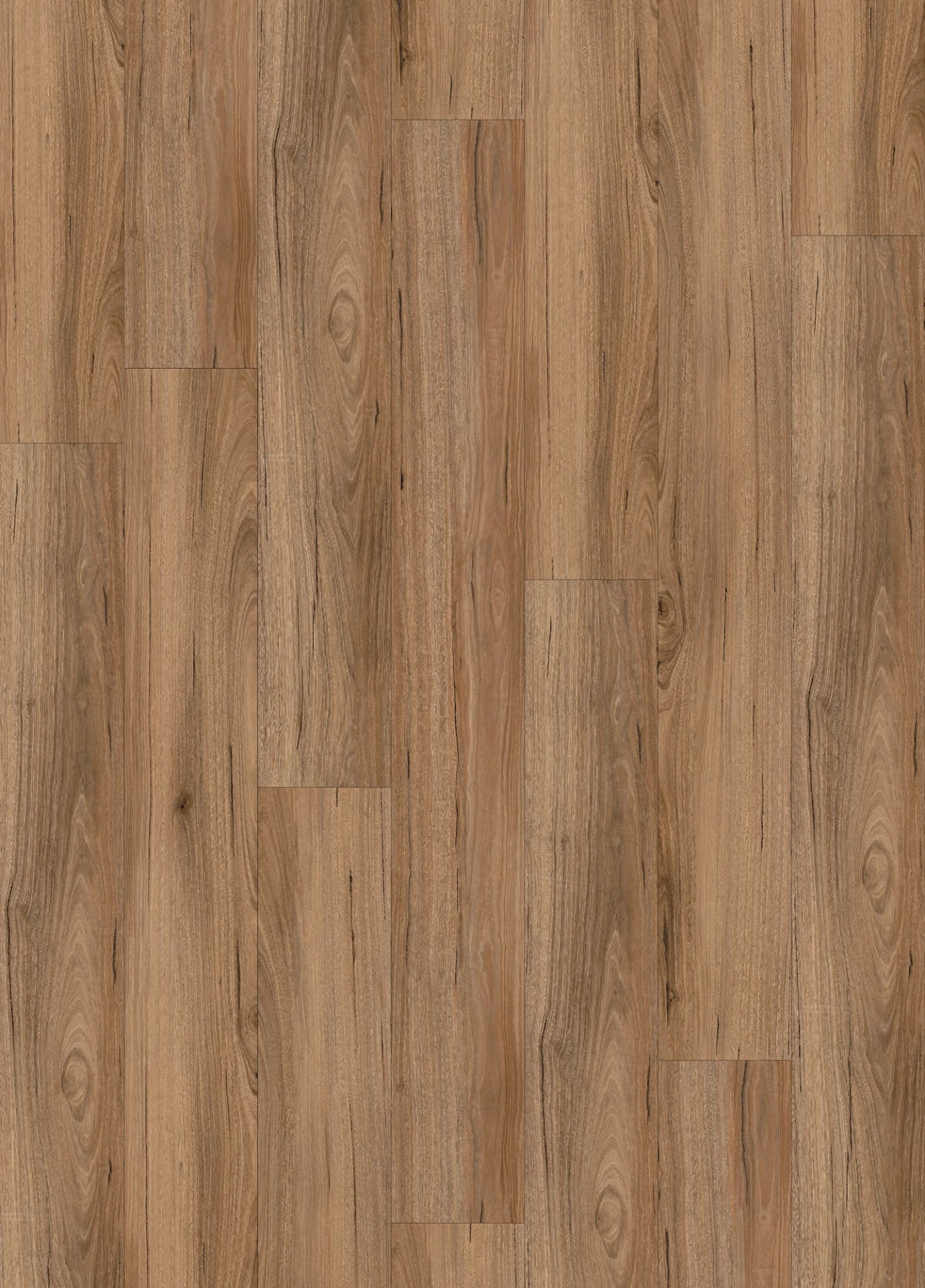 Peak Spotted Gum 5.5mm Hybrid Flooring (HSU17)