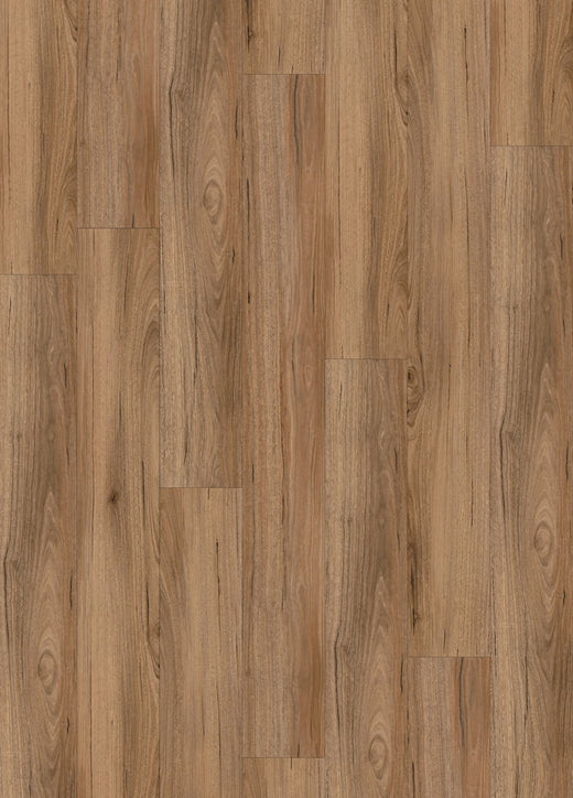 Peak Spotted Gum 5.5mm Hybrid Flooring (HSU17)