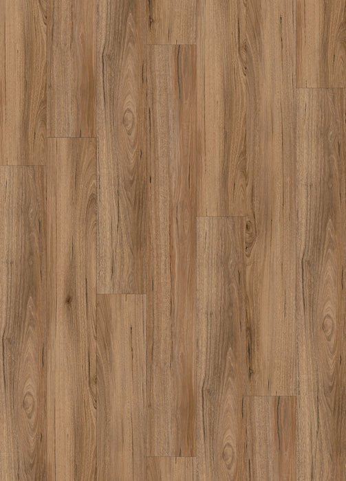 Peak Spotted Gum 5.5mm Hybrid Flooring (HSU17) - National Floors