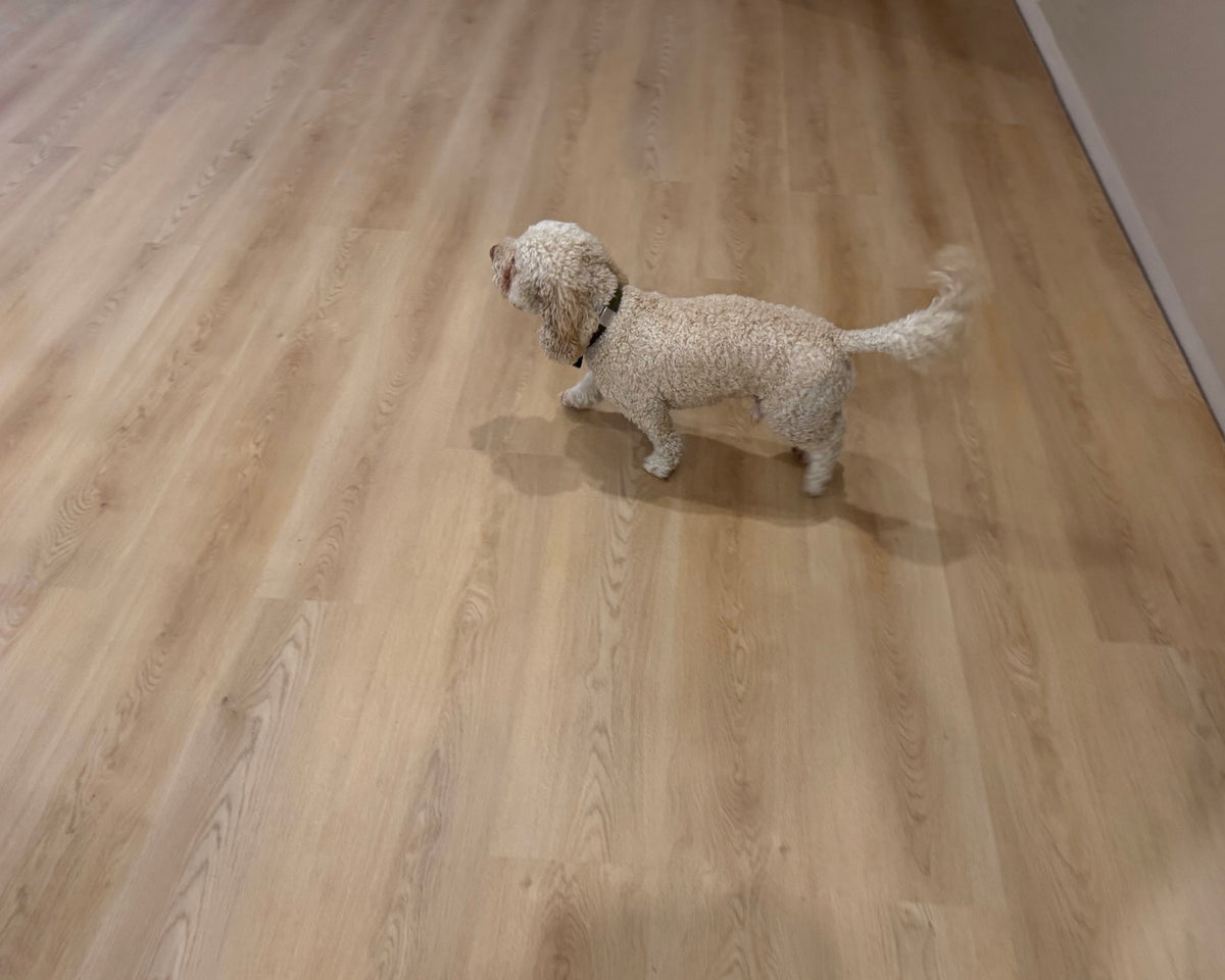 Lunara 8mm Hybrid Flooring (830)
