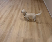 Lunara 8mm Hybrid Flooring (830)