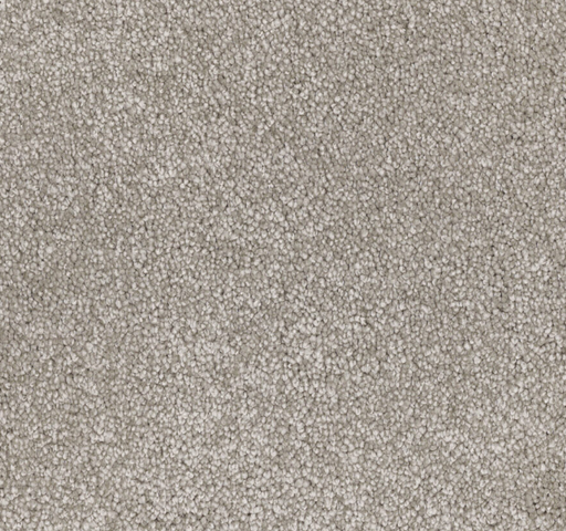 Harry’s Ridge Cut Pile Twist Carpet (CGN8) - National Floors