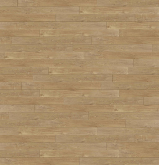 Amber Oak 8mm Laminate Flooring (LS21) - National Floors