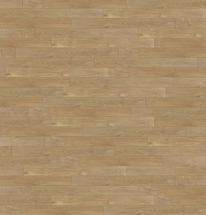 Amber Oak 8mm Laminate Flooring (LS21) - National Floors
