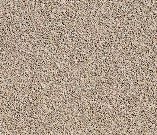 Hushveil Twist Pile Carpet (CQM9)