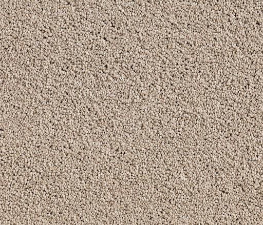 Hushveil Twist Pile Carpet (CQM9) - National Floors