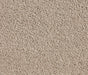 Hushveil Twist Pile Carpet (CQM9) - National Floors