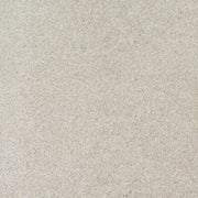 Iridia Twist Pile Carpet (CQE4)