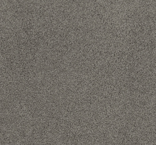 Koralyn Cut Pile Twist Carpet (CGL4)