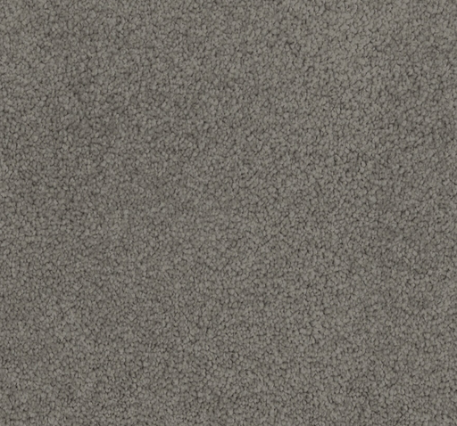 Koralyn Cut Pile Twist Carpet (CGL4) - National Floors