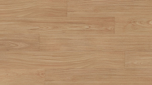 Petal Blackbutt 12mm Laminate Flooring (LCC10)