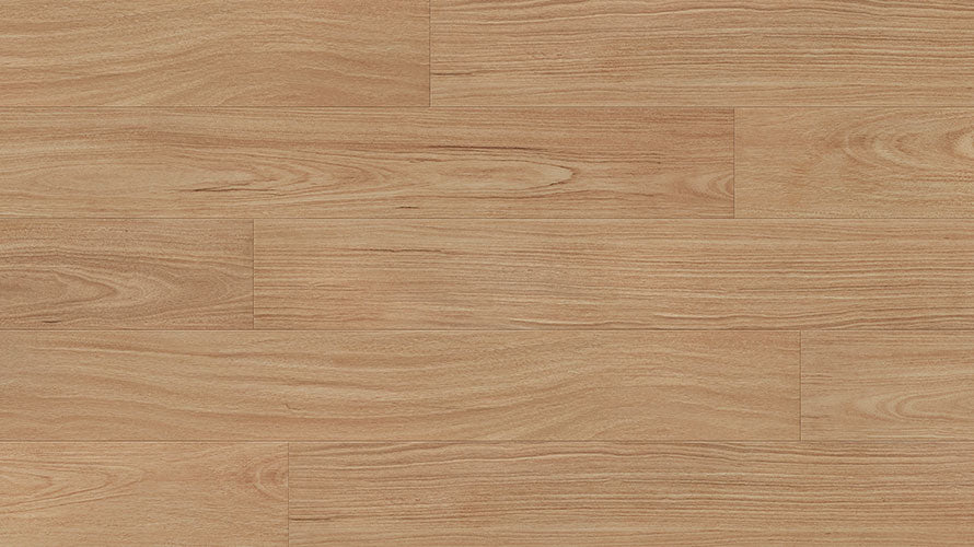 Petal Blackbutt 12mm Laminate Flooring (LCC10)