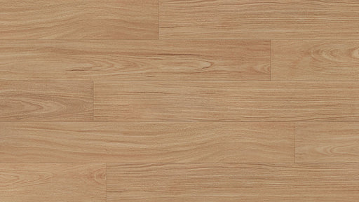 Petal Blackbutt 12mm Laminate Flooring (LCC10) - National Floors