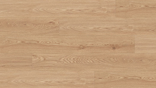 Violet 12mm Laminate Flooring (LCC12)