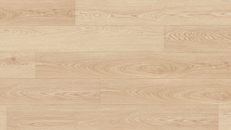 Coral 12mm Laminate Flooring (LCC13)