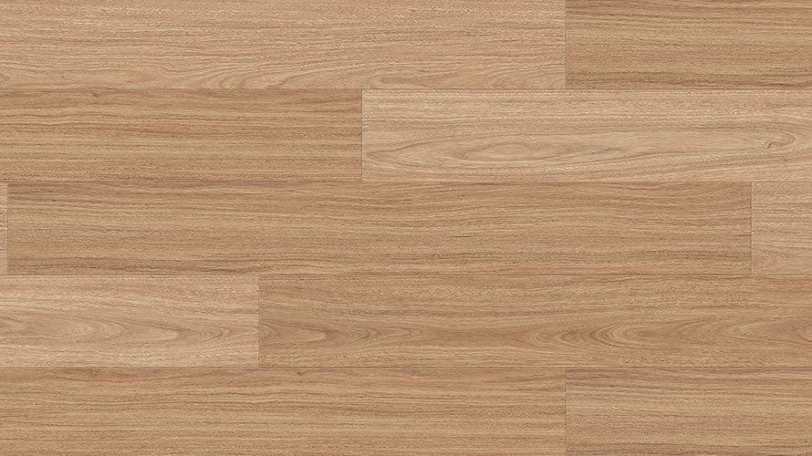 Reef Spotted Gum 12mm Laminate Flooring (LCC16)