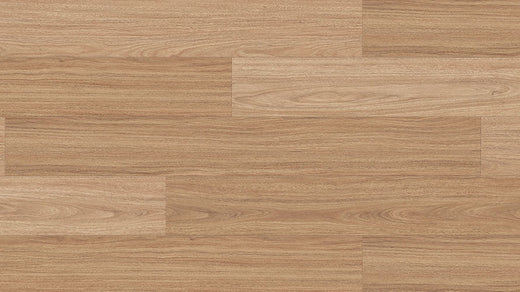 Reef Spotted Gum 12mm Laminate Flooring (LCC16)