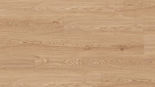 Plain 8mm Laminate Flooring (LCC2)