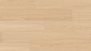 Arid Blackbutt 8mm Laminate Flooring (LCC3)