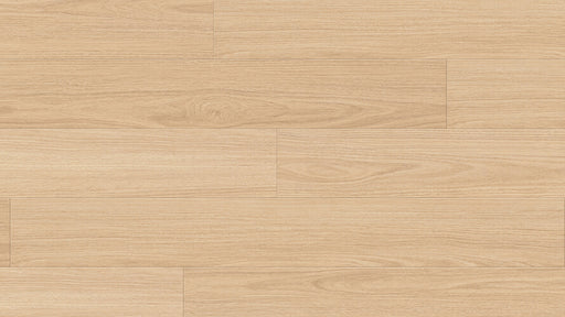 Arid Blackbutt 8mm Laminate Flooring (LCC3) - National Floors