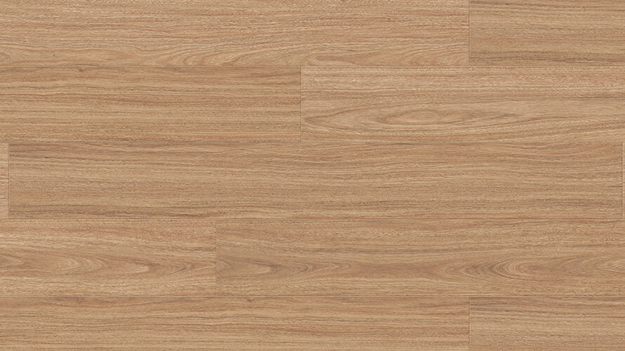 Arid Spotted Gum 8mm Laminate Flooring (LCC4)