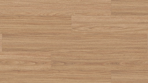 Arid Spotted Gum 8mm Laminate Flooring (LCC4) - National Floors