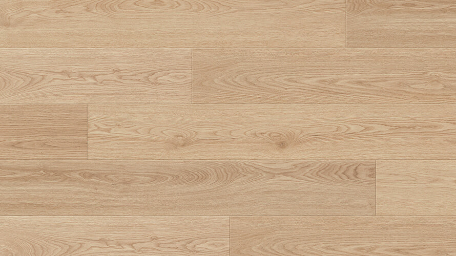 Reach 8mm Laminate Flooring (LCC5)
