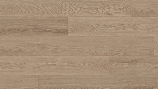 Valley 8mm Laminate Flooring (LCC6) - National Floors