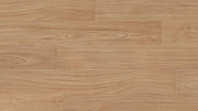 Frontier Blackbutt 8mm Laminate Flooring (LCC7)