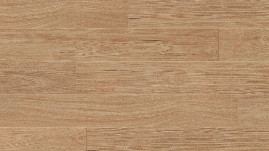 Frontier Blackbutt 8mm Laminate Flooring (LCC7)