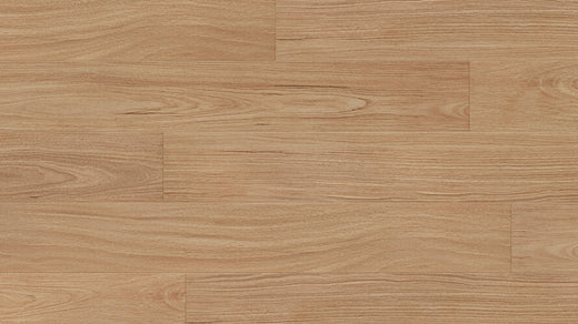 Frontier Blackbutt 8mm Laminate Flooring (LCC7)