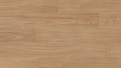 Frontier Blackbutt 8mm Laminate Flooring (LCC7) - National Floors