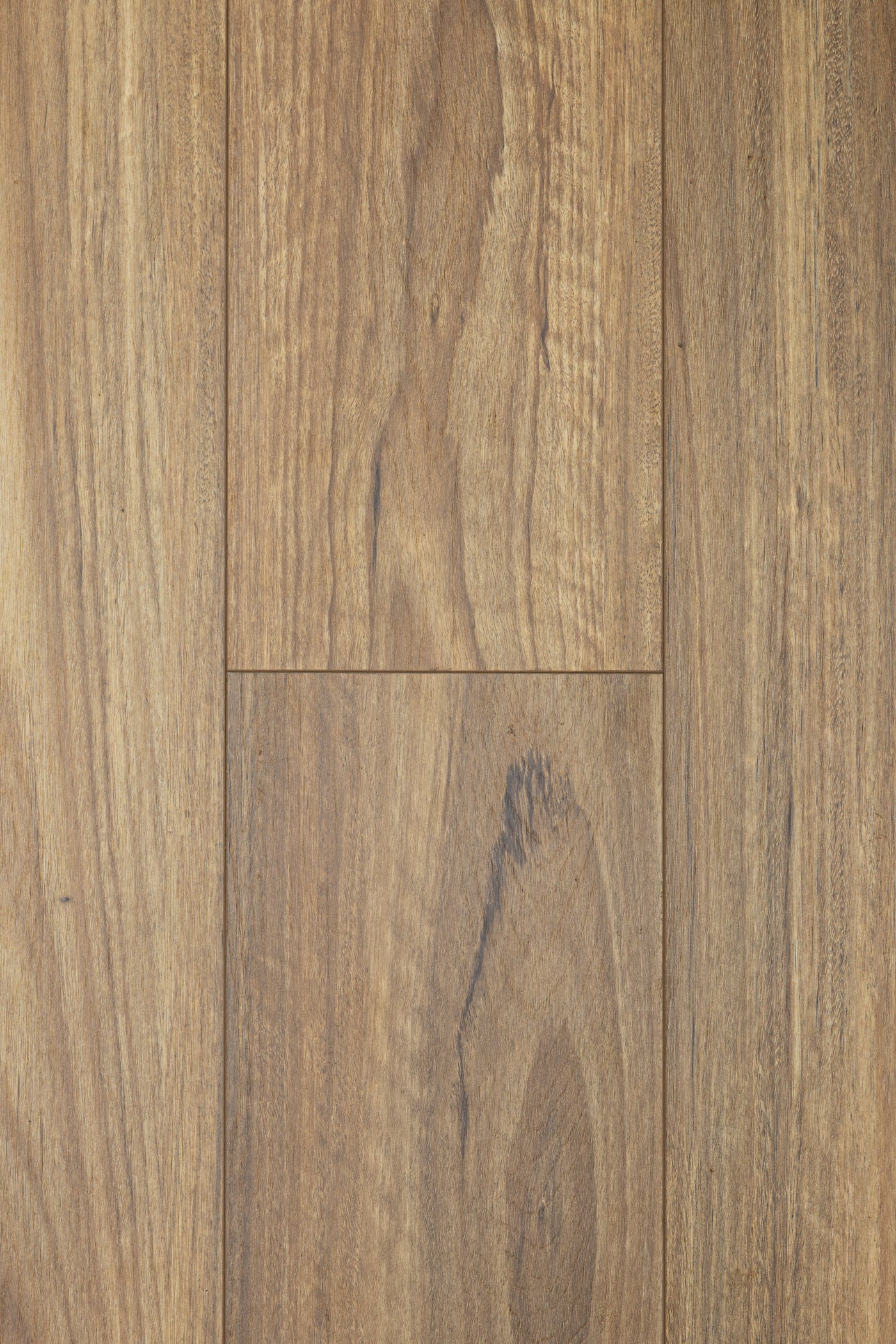 Grove Spotted Gum 12mm Laminate Flooring (LCW1)