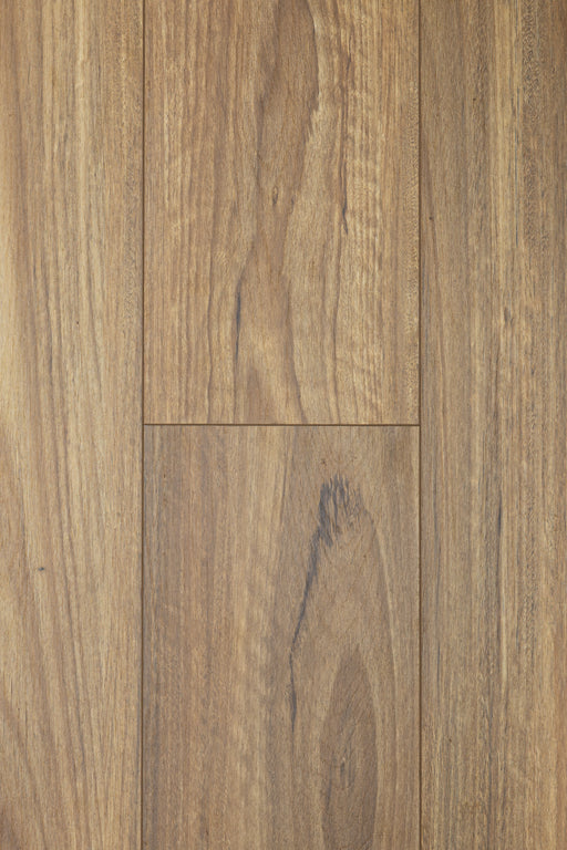 Grove Spotted Gum 12mm Laminate Flooring (LCW1) - National Floors