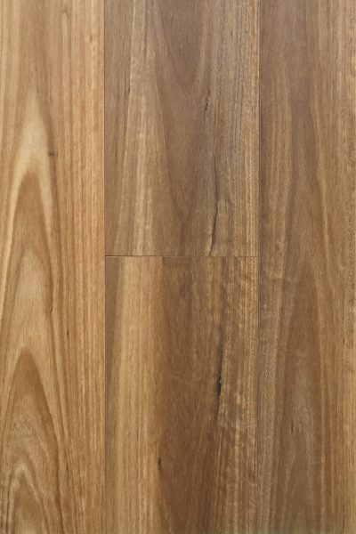 Grove Spotted Gum 12mm Laminate Flooring (LCW1)