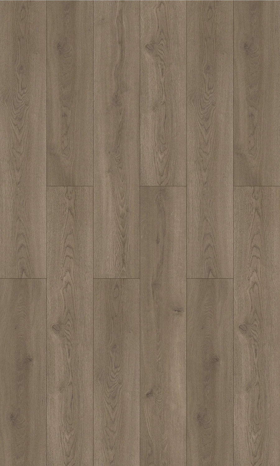 Metro Oak 12mm Laminate Flooring (LFI5)